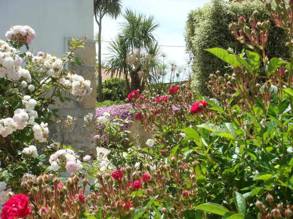 Casa De Hospedes Flor Do Jardim Malveira Exterior foto